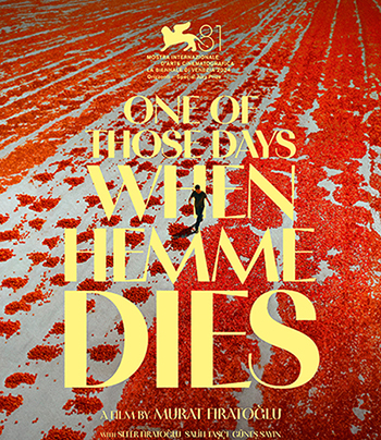 hemme'nin oldugu gunlerden biri