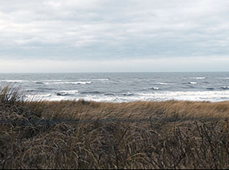 Iyi Olum. The Good Death.