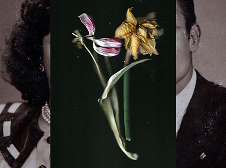 Zarafet ve siddet arasinda. Between delicate and violent.