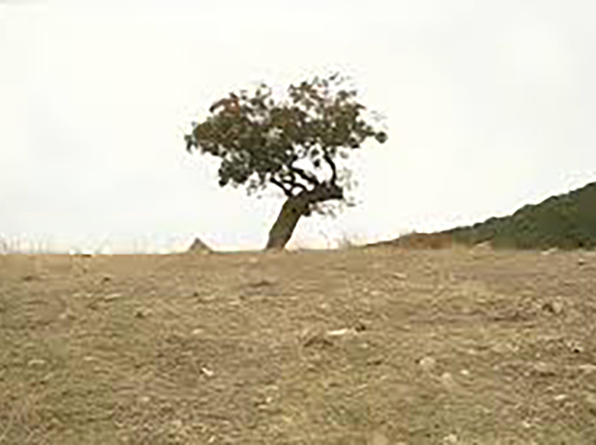 ekim'de hic bir kere. anytime in october.