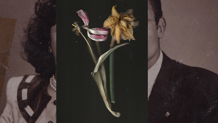 zarafet ve siddet arasinda. between delicate and violent.